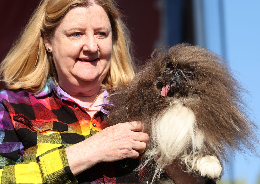 World's Ugliest Dog Awards Held At The Sonoma-Marin Fair In California