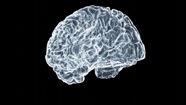 Graphene quantum dots show promise in targeting Parkinson’s-related protein clumping