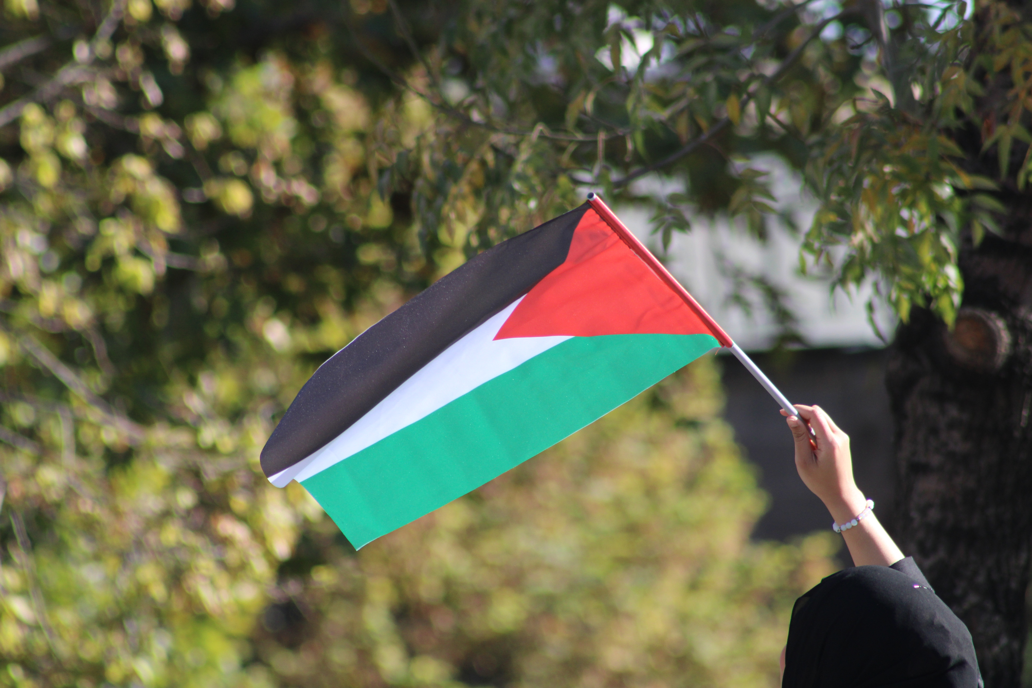 Muslimische Frau, die die palästinensische Flagge schwenkt