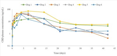 圖1:6隻患有骨關節炎的狗在單次皮下注射脂質體CBD(5 mg/kg)前後42天(6周)內的血漿大麻二酚(CBD)濃度(ng/mL)。