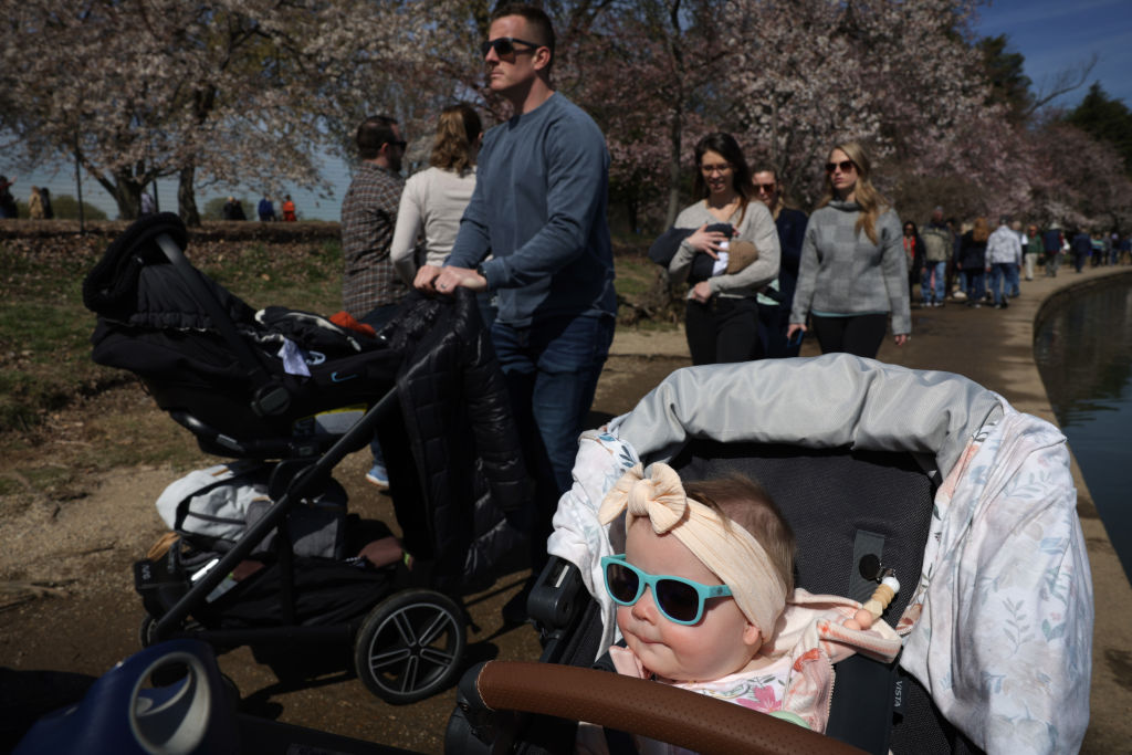 華盛頓特區著名的櫻花樹家庭在2023年3月21日參觀華盛頓特區的Tidal Basin周圍的櫻花。