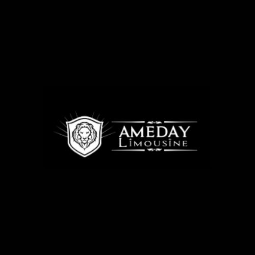 amedaylimousine amedaylimousine
