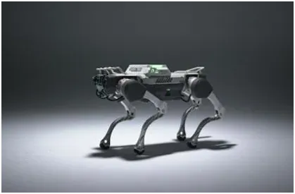 Pure Legs or Wheels That Switch—The Robot Dog Choice Is No Longer Either-Or