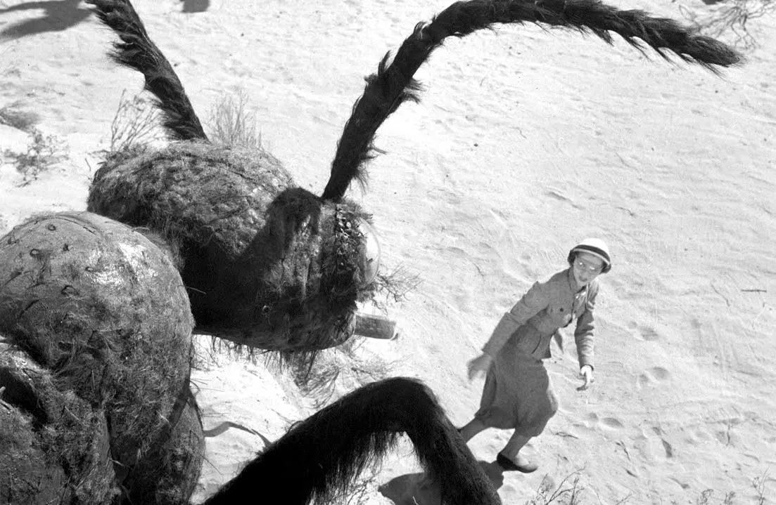 The Ants Still Bite: Why Physical Media Refuses to Die in 2026
