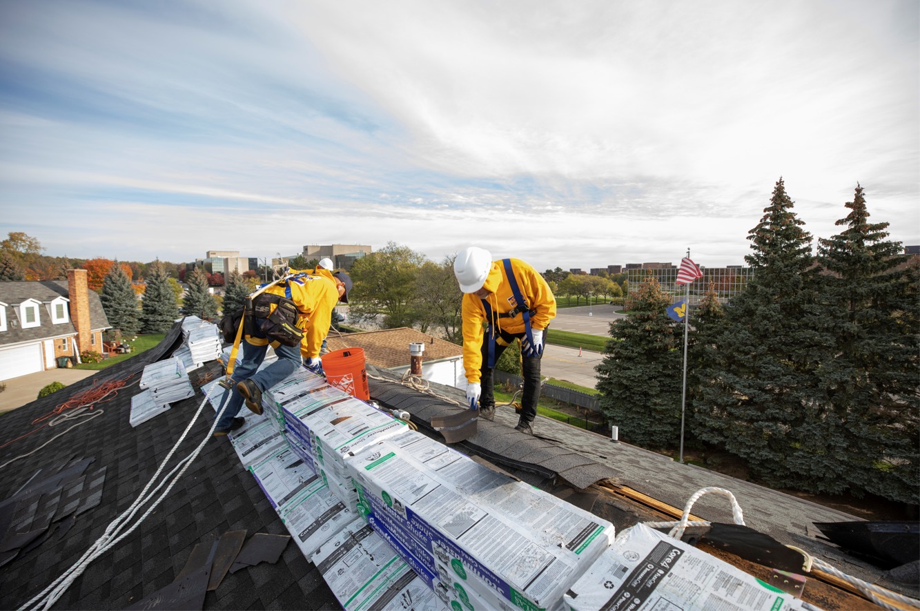 roofs