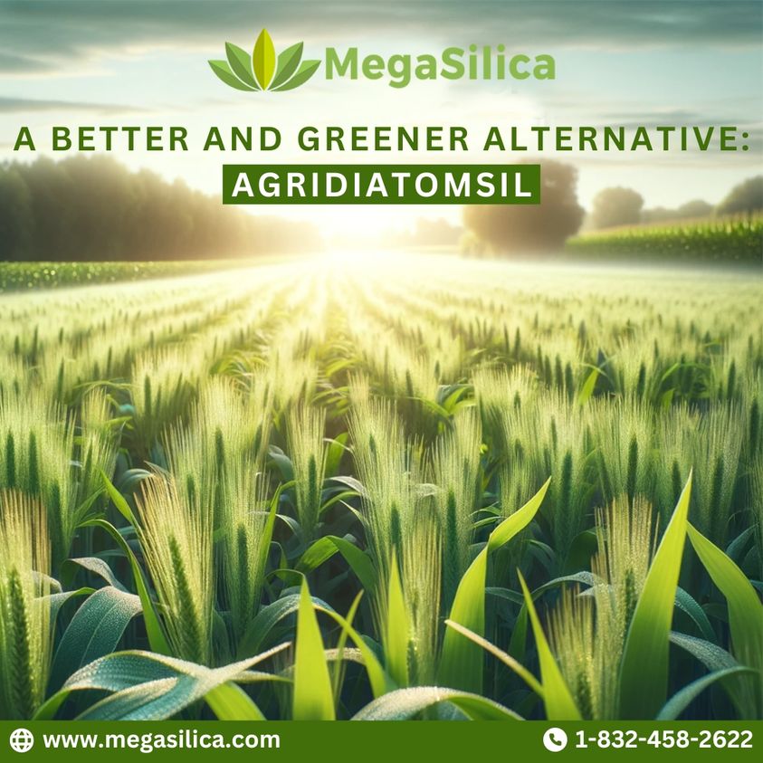 Safeguarding crop with Megasilica