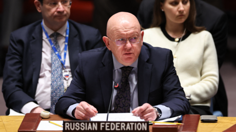 Russia asks UN to consider sanctions on Israel over Gaza ceasefire violations