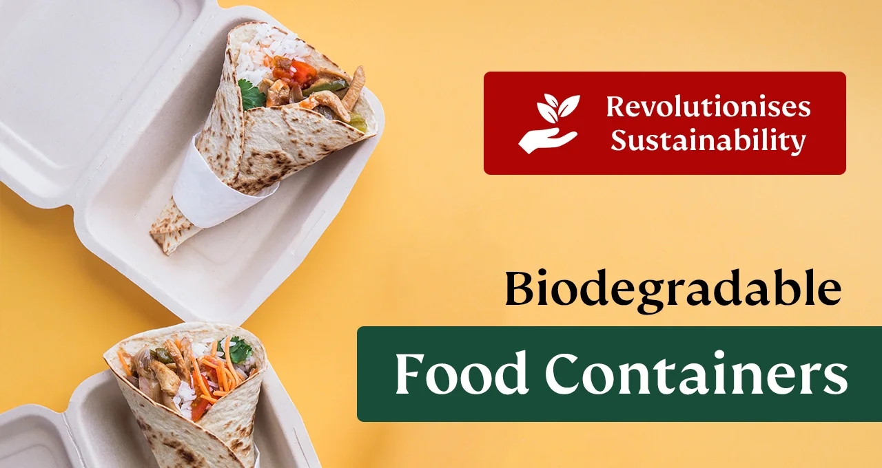 biogradable food containers