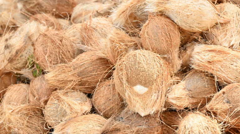 Raw Coconut