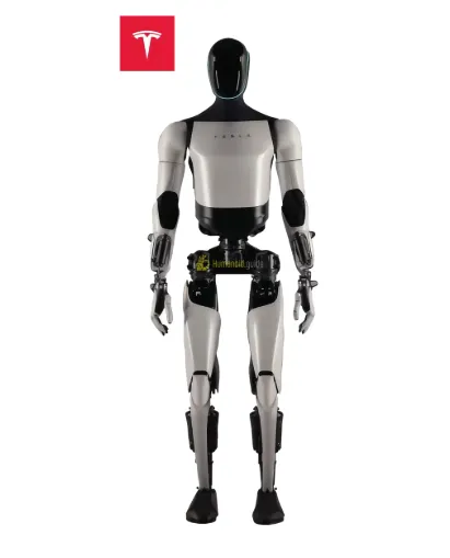 Tesla’s Brutal Bet on Optimus: Dismantling Legacy Lines to Force a Robot Future