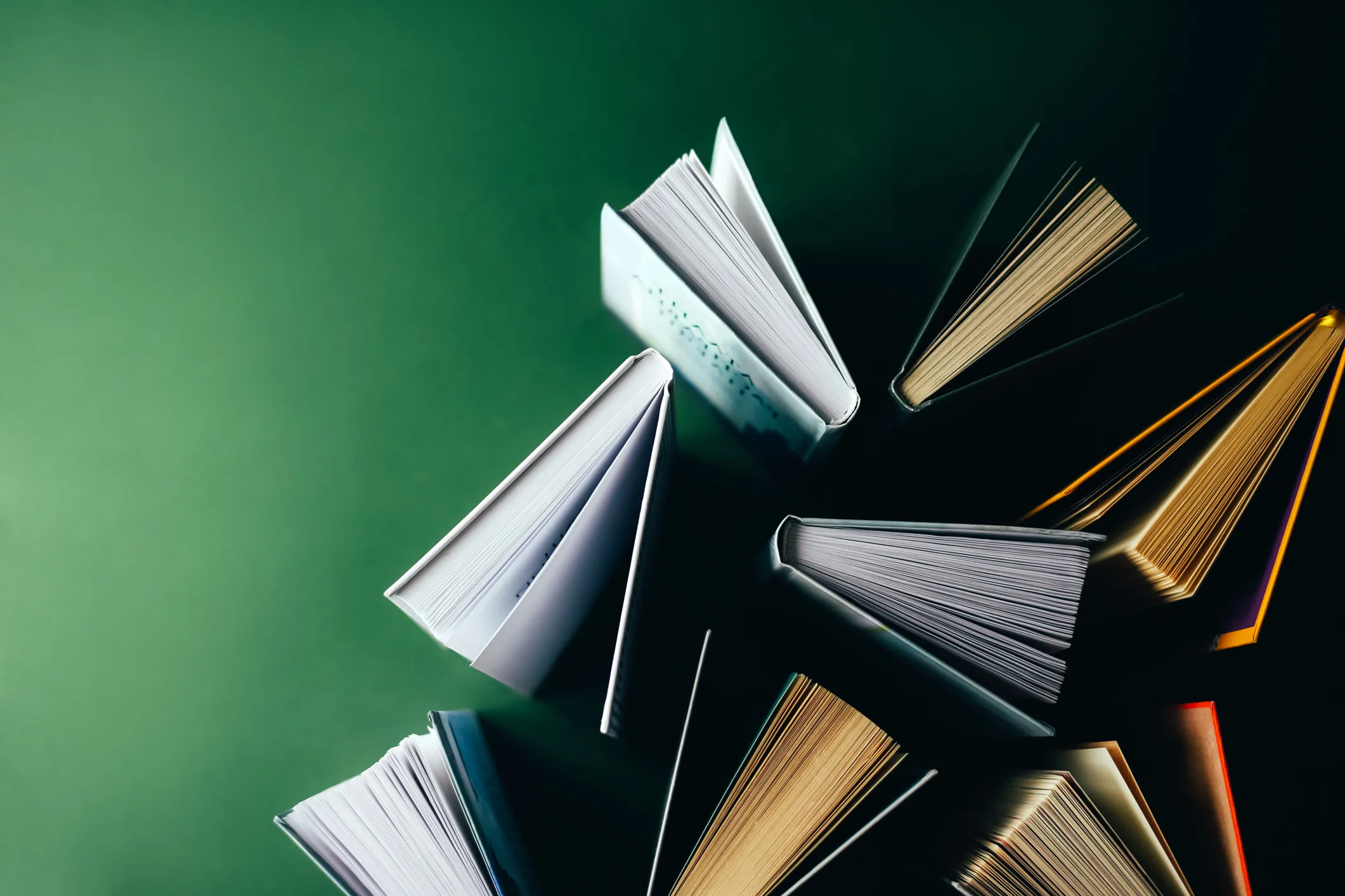 Ditch the Screen Sludge: Why cracking open an actual book is the ultimate cognitive life hack