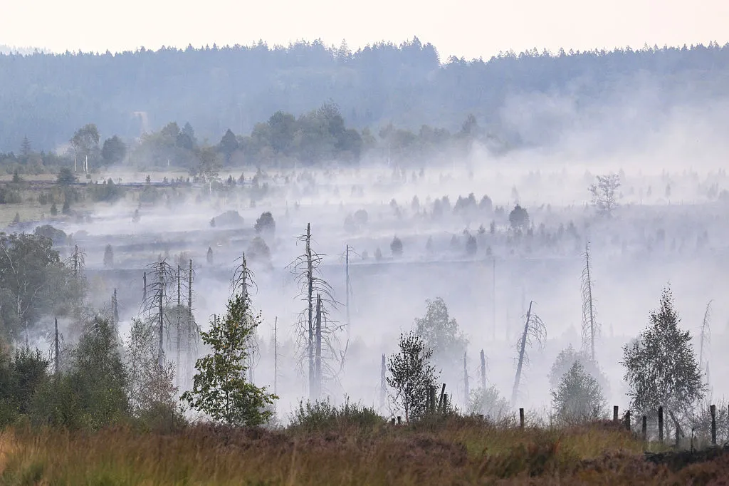 Your Grandkids Will Inherit the Fire: Europe’s 84% Burn Rate Problem Nobody Wants to Price In