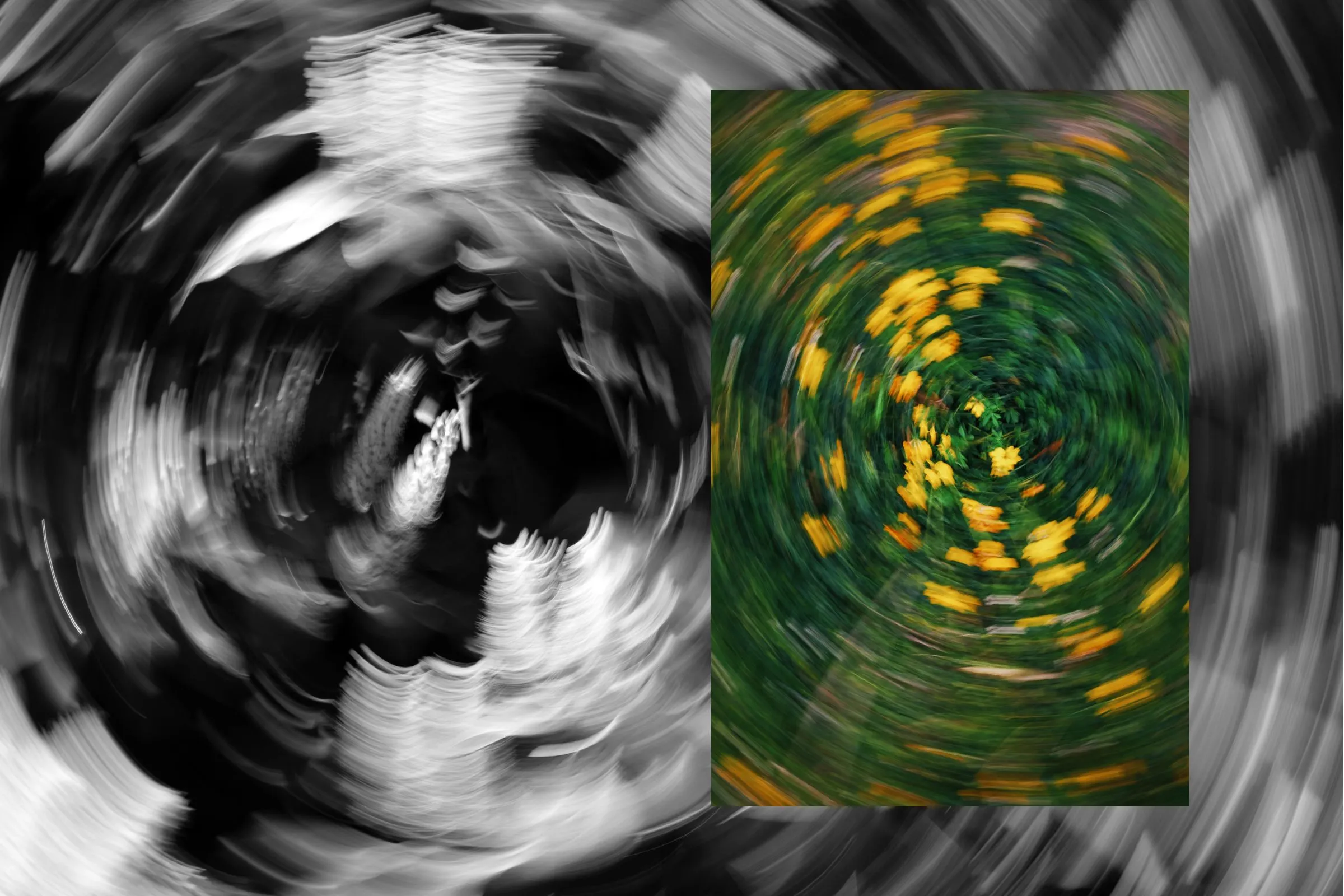 The Vertigo Industrial Complex: Why the Most Common Dizziness Has the Most Complicated Diagnosis
