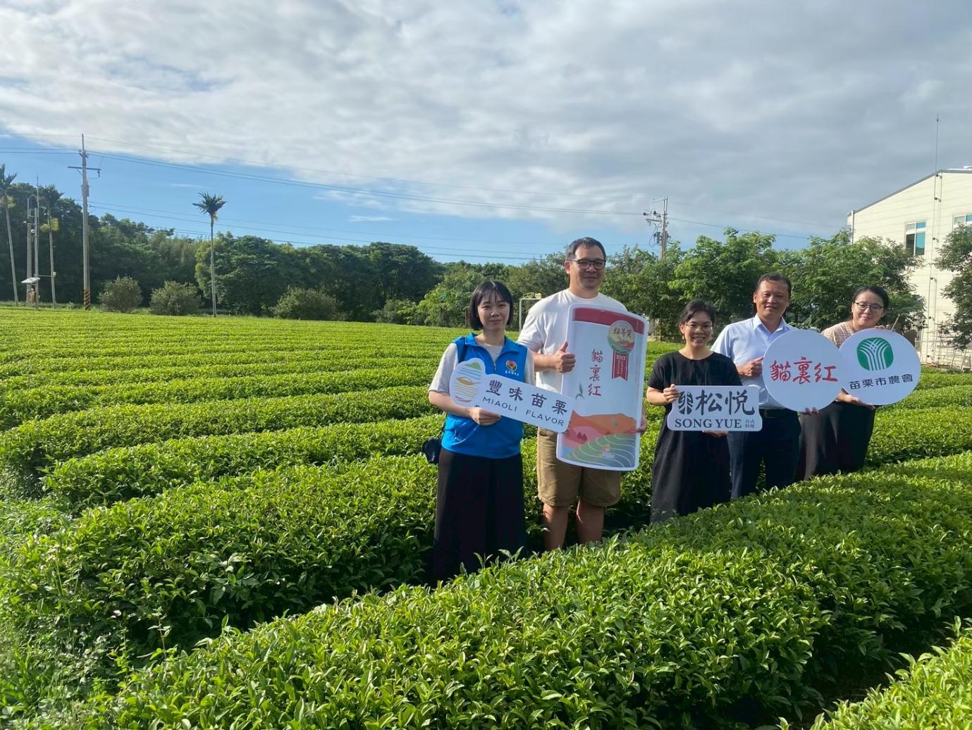 Song Yue Group makes a stunning debut with “Mao Li Hong” – a fine tea from Miaoli County has become popular in Singapore and has made its way onto the Singaporean dining scene. This has added another topic to the Singaporean beverage circle.
