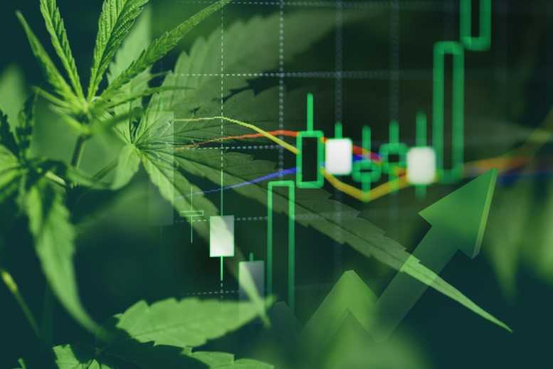 da4f797d15e4164764ebf4ca7147fd29 Stargazer Cannabis Festival Paying $1000 to Smoke Weed