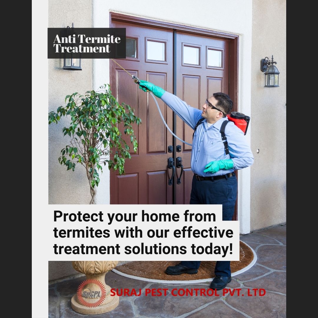 Anti Termite Treatment in Noida Anti Termite Treatment in Noida
