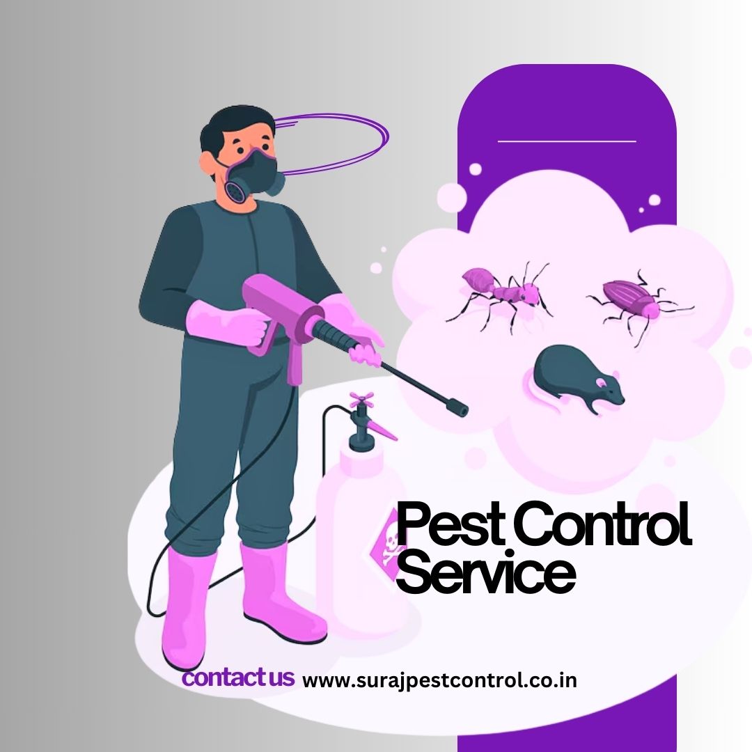 Pest Control Service Noida Pest Control Service Noida