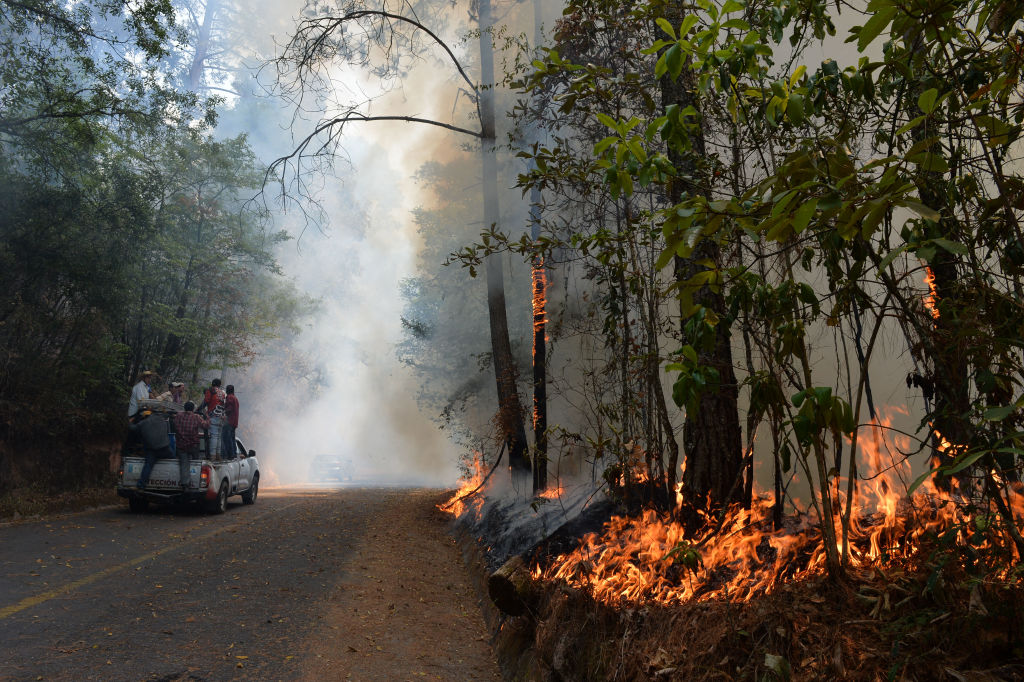 MEXICO-WILDFIRE