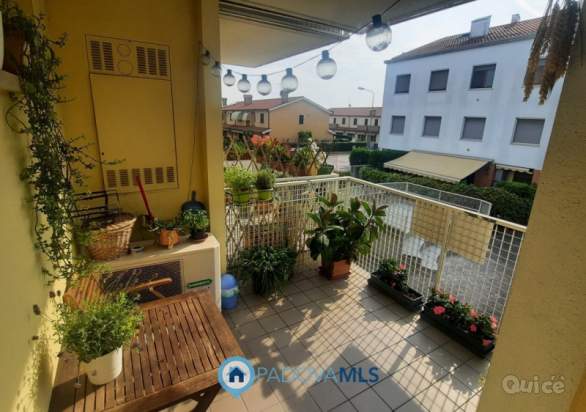 Appartamento in vendita a Padova (Padova) foto-118758