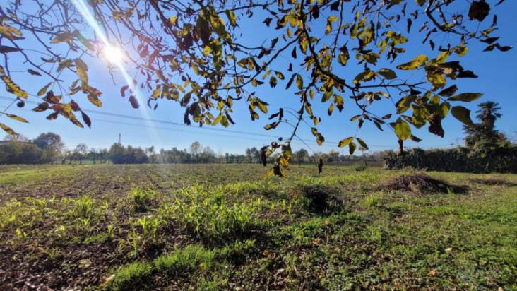 Terreno in vendita a Padova (Padova) foto-133358