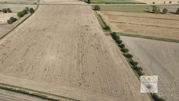 Terreno in vendita a Este (Padova) foto-928837