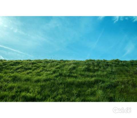 Terreno in vendita a Piombino Dese (Padova) foto-154381