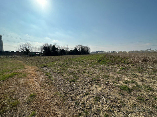 SPINEA TERRENO AGRICO DI CIRCA 17.239MQ foto-179891