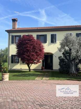 Stanze in affitto a Vigonza (Padova) foto-180372