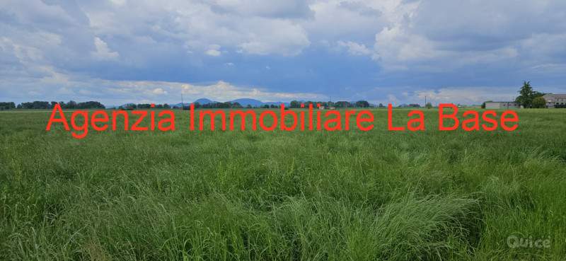 Terreno in vendita a Vescovana (Padova) foto-1162255