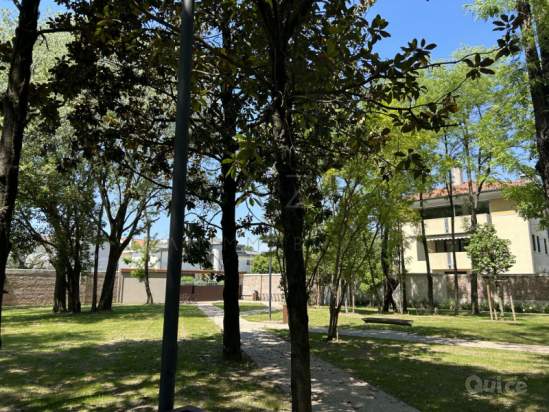 Negozio in vendita a Castelfranco Veneto (Treviso) foto-1186555