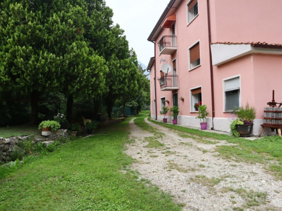 Casa singola abitabile con ampio terreno foto-195378