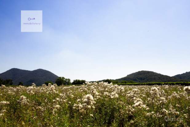 Terreno in vendita a Monselice (Padova) foto-1216599