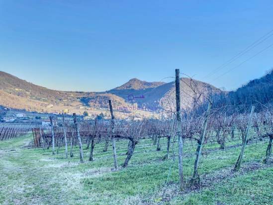 Terreno in vendita a Galzignano Terme (Padova) foto-1239086