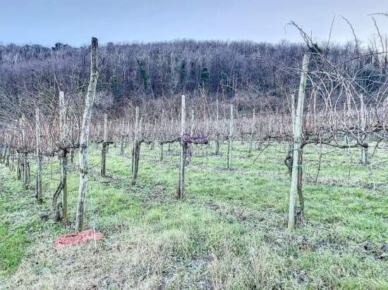 Terreno in vendita a Galzignano Terme (Padova) foto-1239088