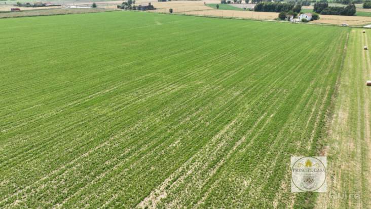 Terreno in vendita a Este (Padova) foto-1243995