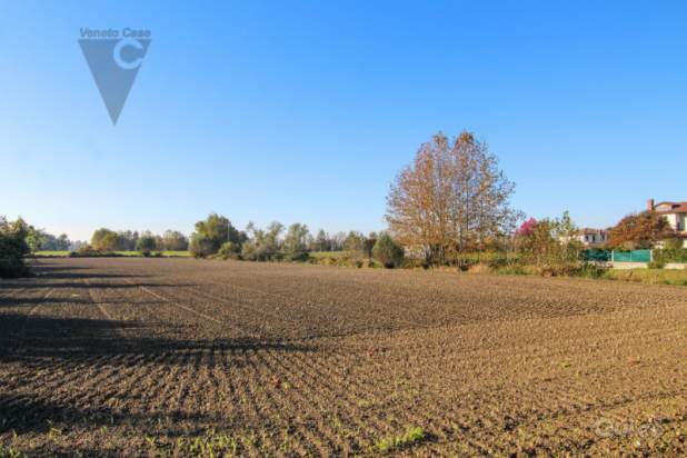 Rustico in vendita a Codevigo (Padova) foto-1256440