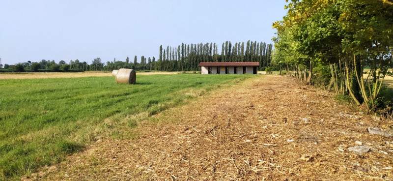 Terreno in vendita a Monselice (Padova) foto-1262863