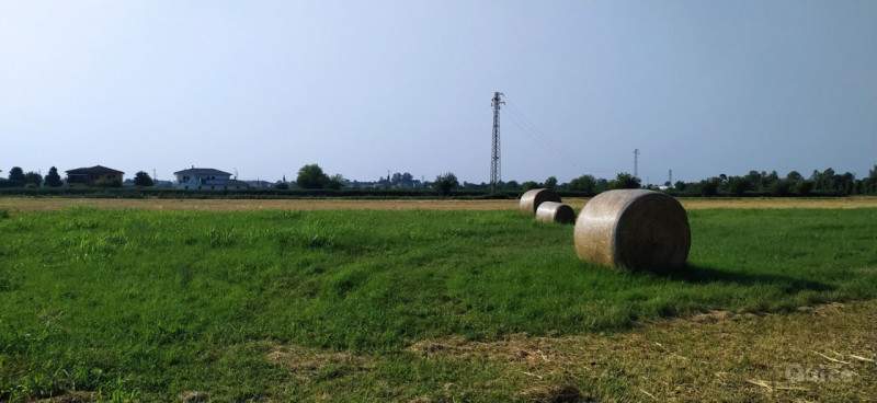 Terreno in vendita a Monselice (Padova) foto-1262860