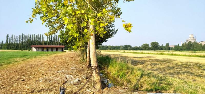 Terreno in vendita a Monselice (Padova) foto-1262861