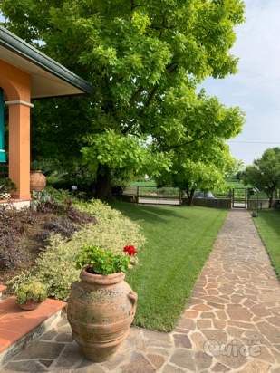 Villa in vendita a San Giorgio delle Pertiche (Padova) foto-208984
