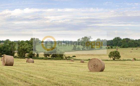 Terreno in vendita a Marostica (Vicenza) foto-1278723