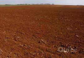 Terreno in vendita a Vigonza (Padova) foto-1280157