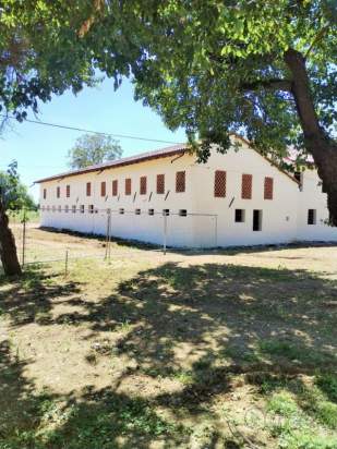 Rustico in vendita a Castelfranco Veneto (Treviso) foto-1299060