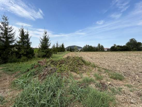 Terreno in vendita a Torreglia (Padova) foto-1300924