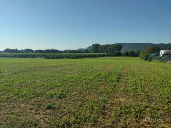 Terreno in vendita a Vicenza (Vicenza) foto-1301240