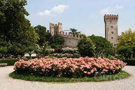 Negozio in affitto a Este (Padova) foto-1303399