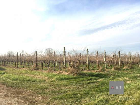 Terreno in vendita a Villa del Conte (Padova) foto-1305458