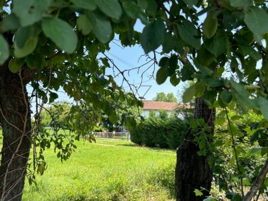 Rustico in vendita a Castelfranco Veneto (Treviso) foto-1322234