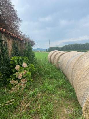 Rustico in vendita a Monselice (Padova) foto-220061