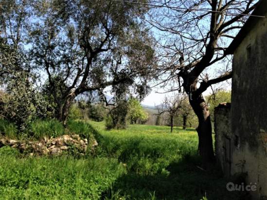 Rustico in vendita a Baone (Padova) foto-1327403